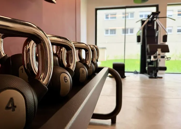 We Live Sharies - B304 Reims