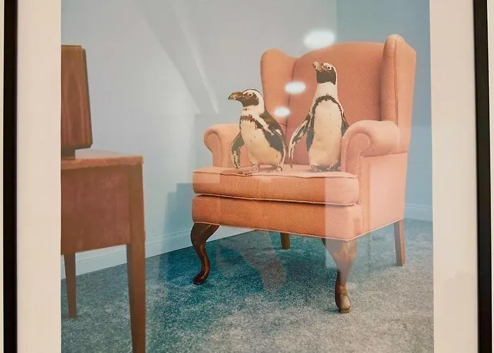 We Live Sharies - B304